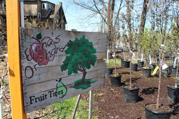 Evergreen Landscaping & Garden Center