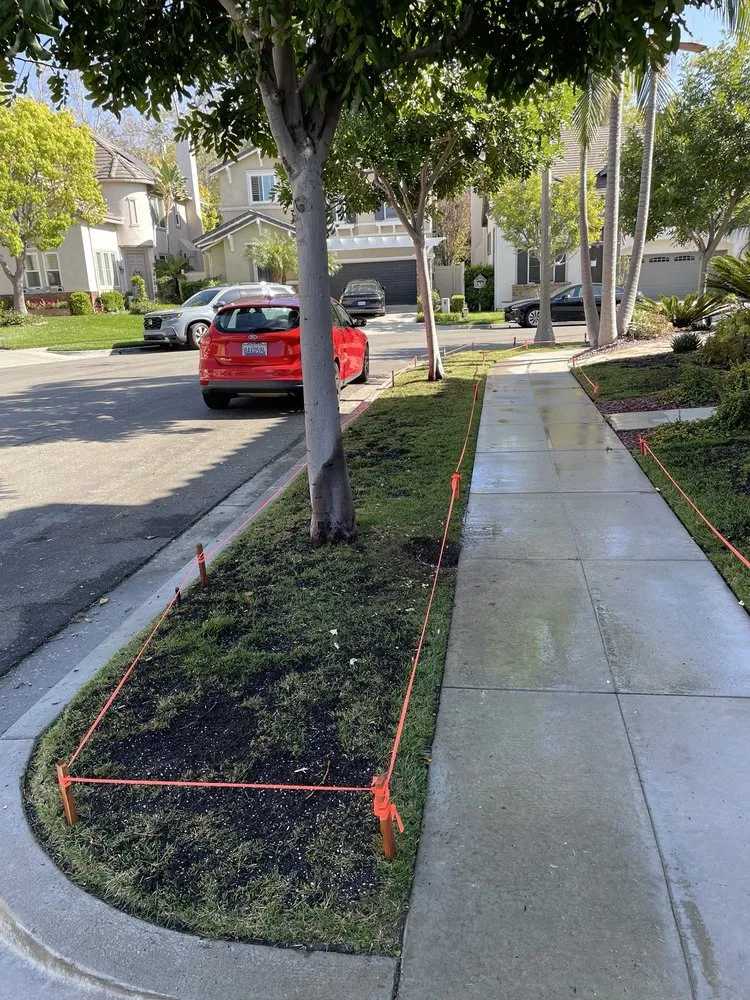 Local outdoor landscaping in Anaheim, CA - EverGreen Landscaping