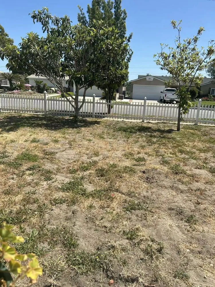 Trusted garden landscaping near you in Anaheim, CA by EverGreen Landscaping