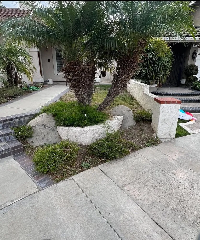 Trusted landscaping services in Anaheim, CA by EverGreen Landscaping