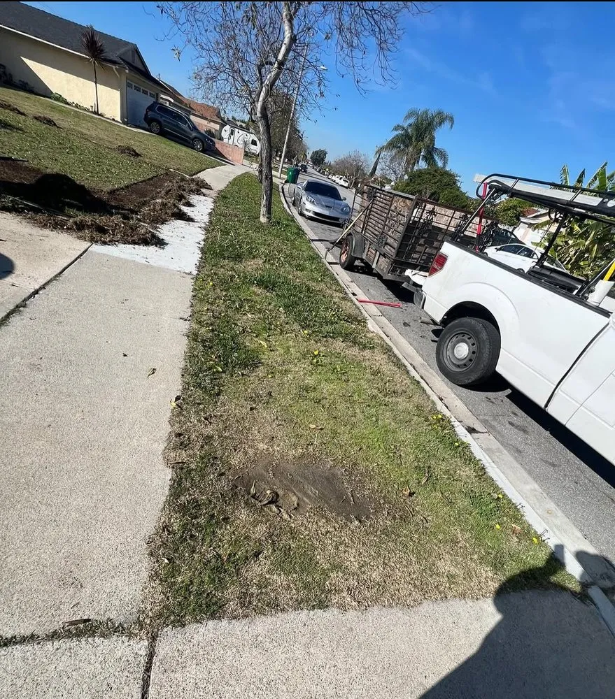 Top-rated yard cleanup service with custom design in Anaheim, CA by EverGreen Landscaping