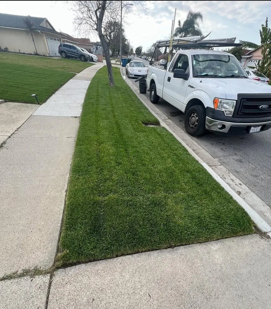 Local outdoor landscaping for beautiful yards in Anaheim, CA by EverGreen Landscaping