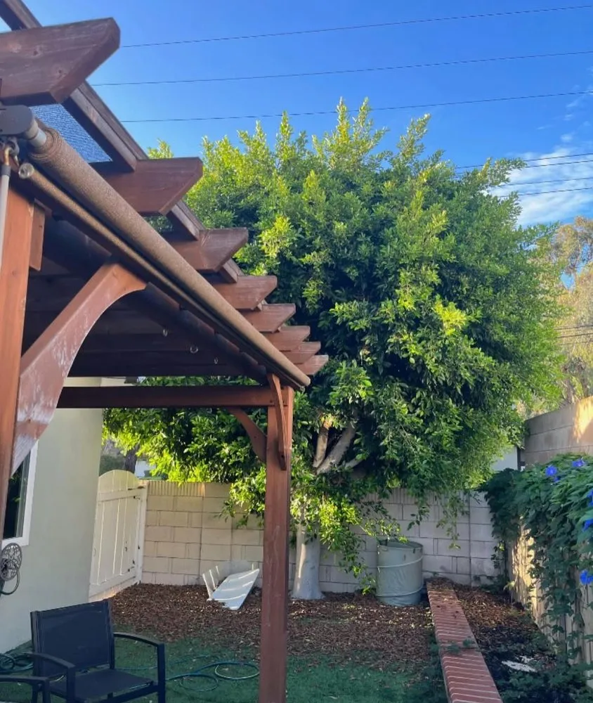 Custom yard cleanup service in Anaheim, CA by EverGreen Landscaping