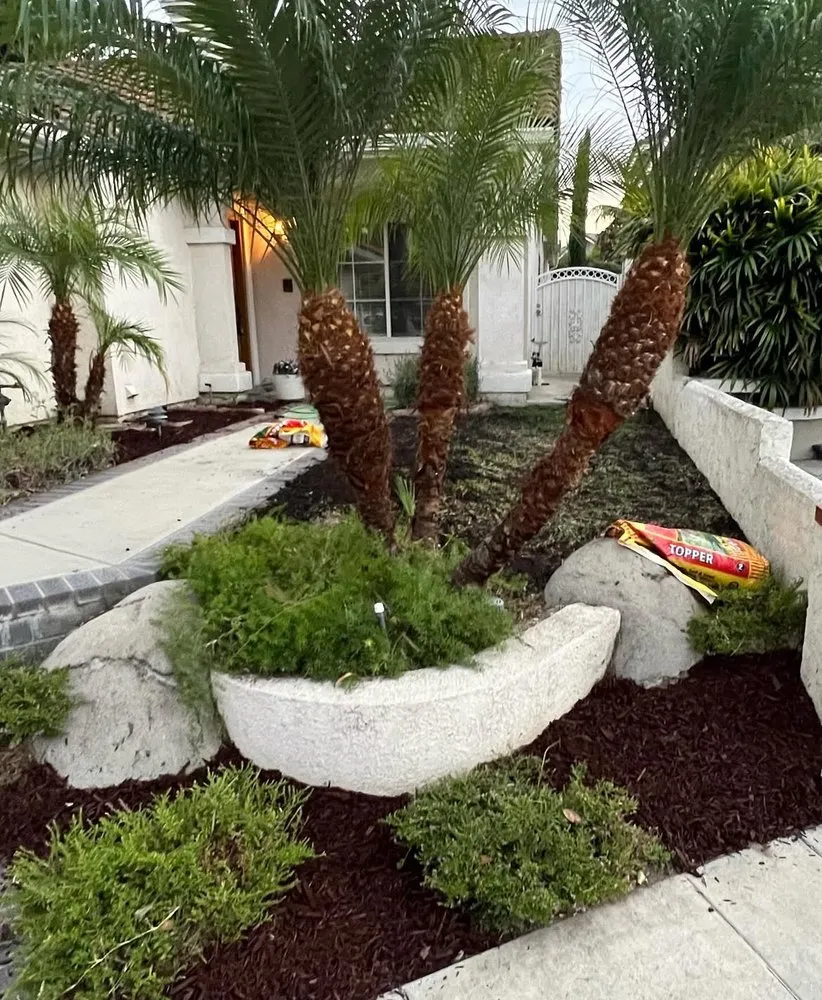 Expert yard maintenance experts serving Anaheim, CA - EverGreen Landscaping