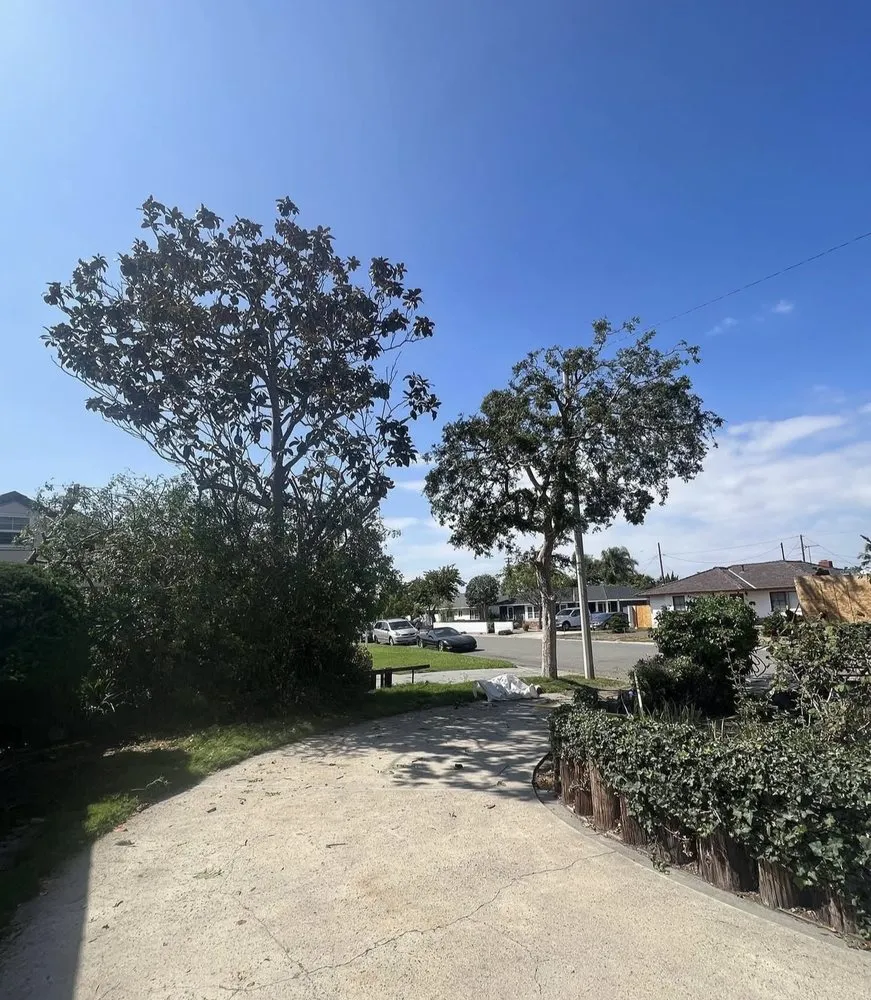 Top-rated outdoor landscaping in Anaheim, CA by EverGreen Landscaping