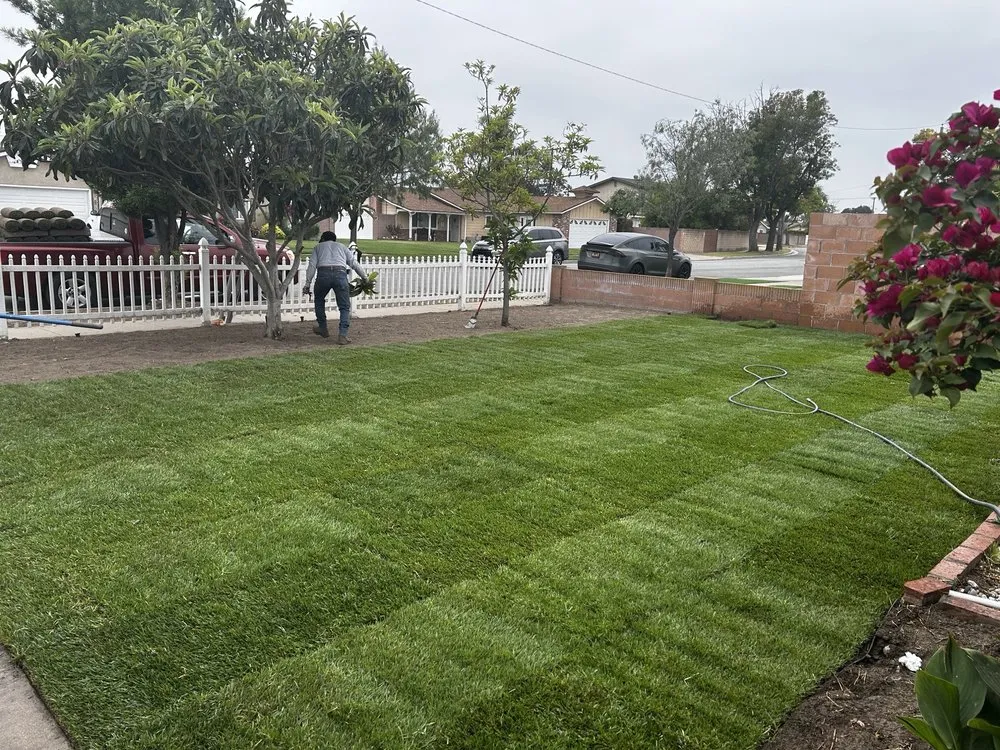 Custom yard cleanup service in Anaheim, CA - EverGreen Landscaping