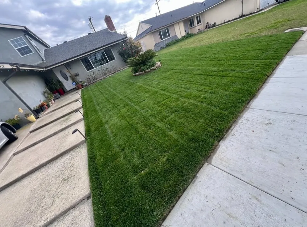 Local yard cleanup service in Anaheim, CA by EverGreen Landscaping