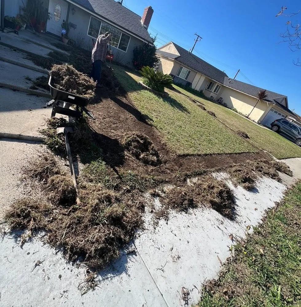 Trusted yard cleanup service near you across Anaheim, CA - EverGreen Landscaping
