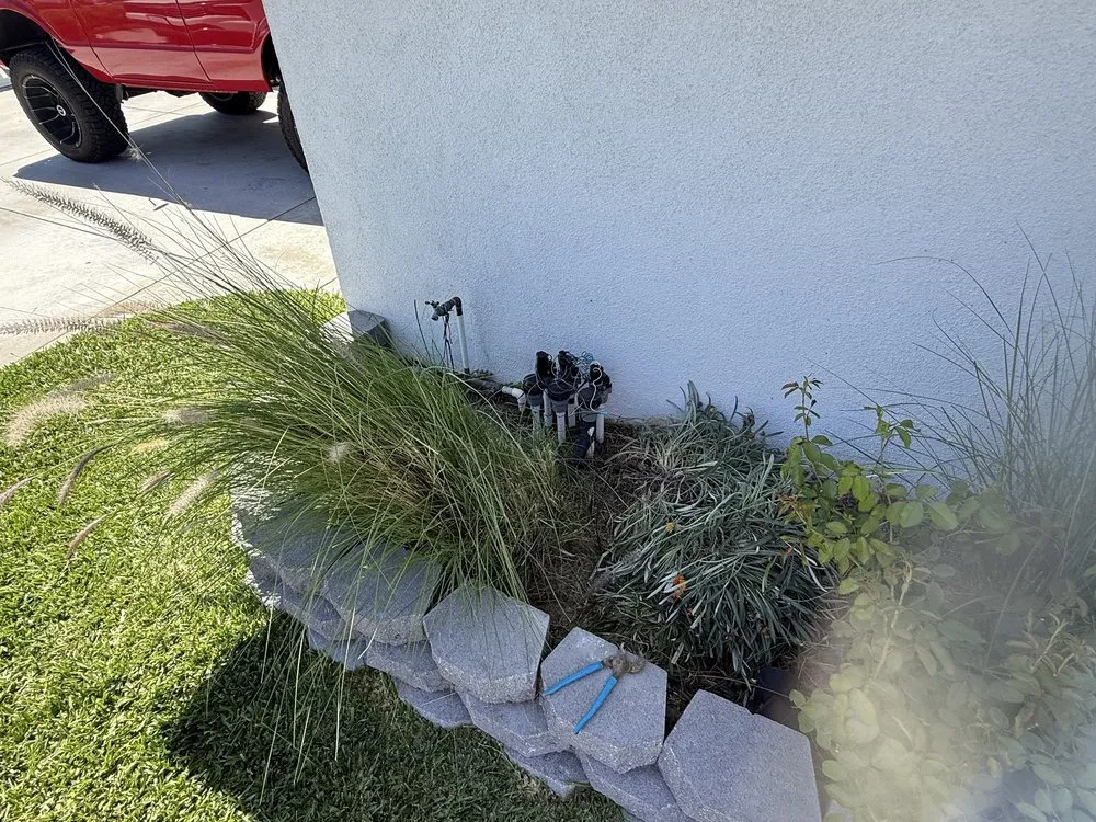 Top-rated landscaping services near you across Anaheim, CA - EverGreen Landscaping