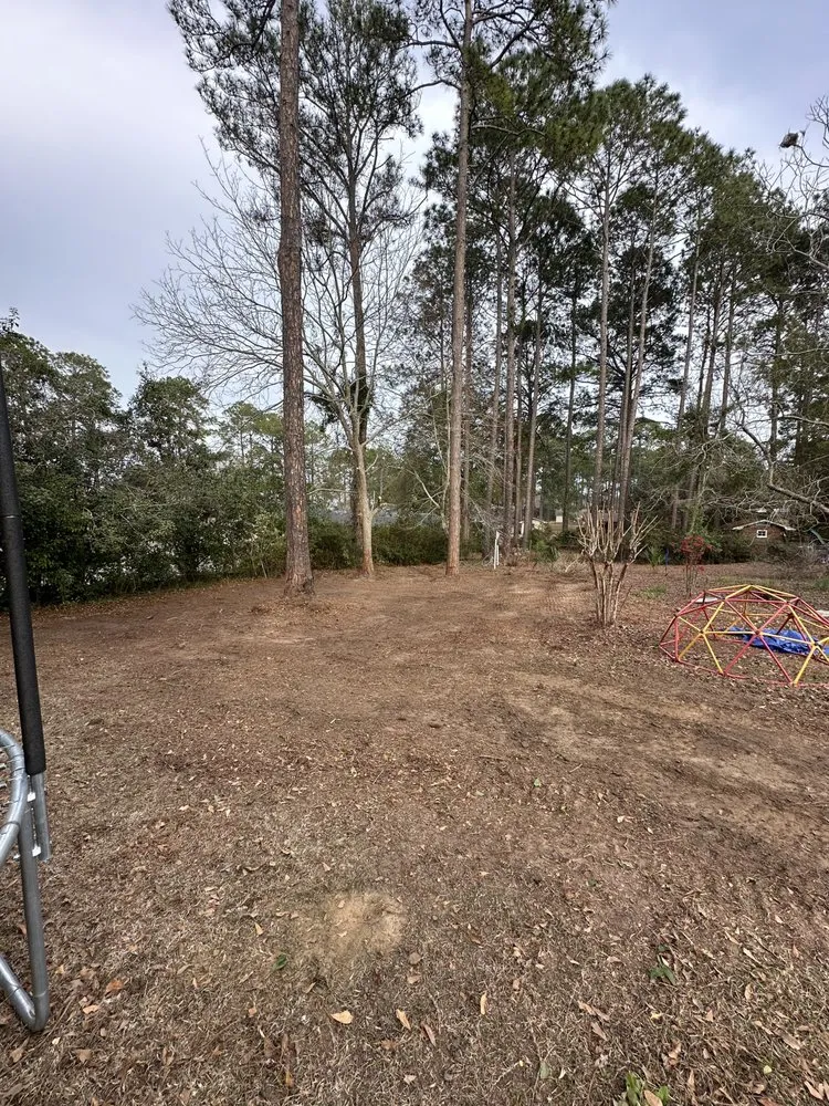 Affordable landscaping services in Tifton, GA by Evergreen Landscaping and Irrigation