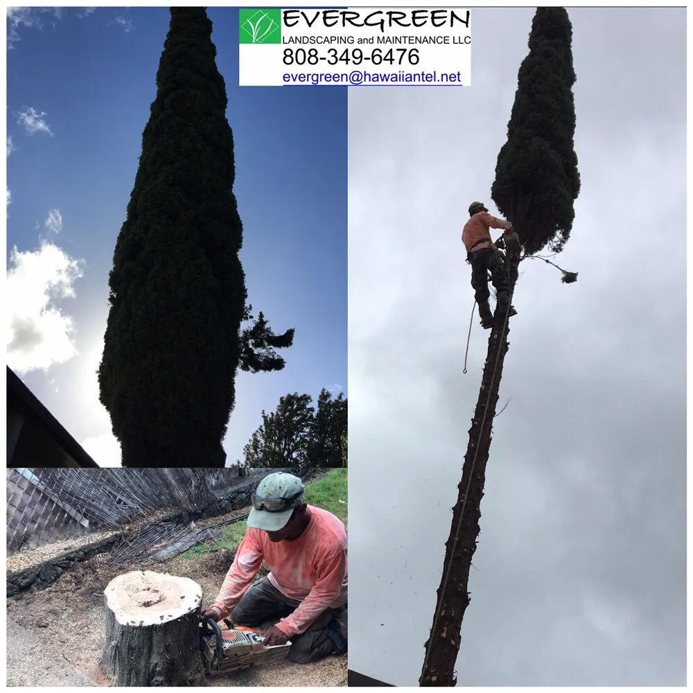 Local garden landscaping for outdoor upgrades across Honolulu, HI - Evergreen Landscaping and Maintenance