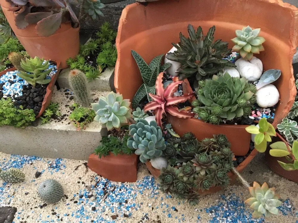 Reliable garden landscaping for outdoor upgrades across Honolulu, HI - Evergreen Landscaping and Maintenance