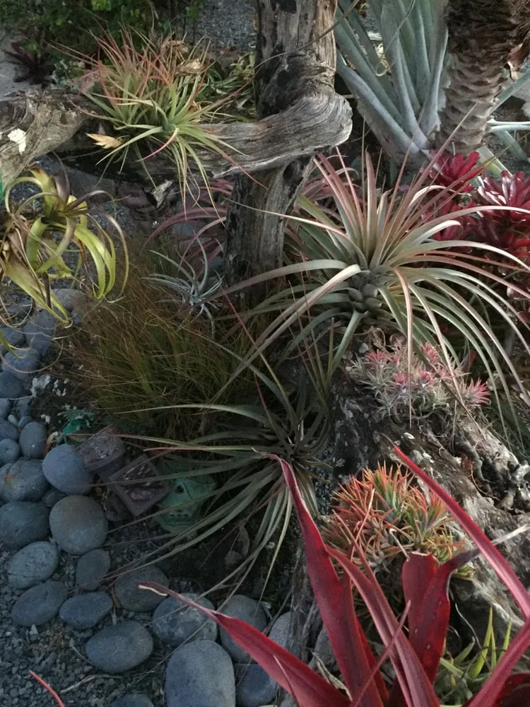 Top-rated landscaping services for outdoor upgrades across Honolulu, HI - Evergreen Landscaping and Maintenance