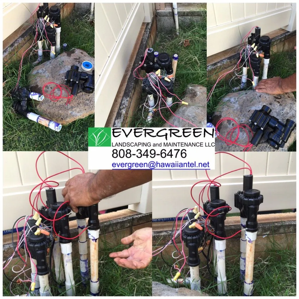 Affordable garden landscaping with custom design across Honolulu, HI - Evergreen Landscaping and Maintenance