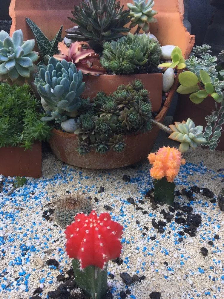 Top-rated landscaping services experts serving Honolulu, HI - Evergreen Landscaping and Maintenance