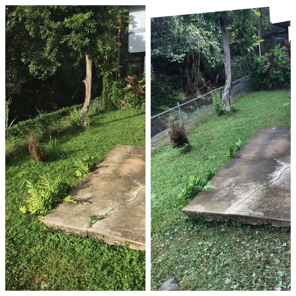 Professional lawn mowing service for residential properties in Honolulu, HI by Evergreen Landscaping and Maintenance