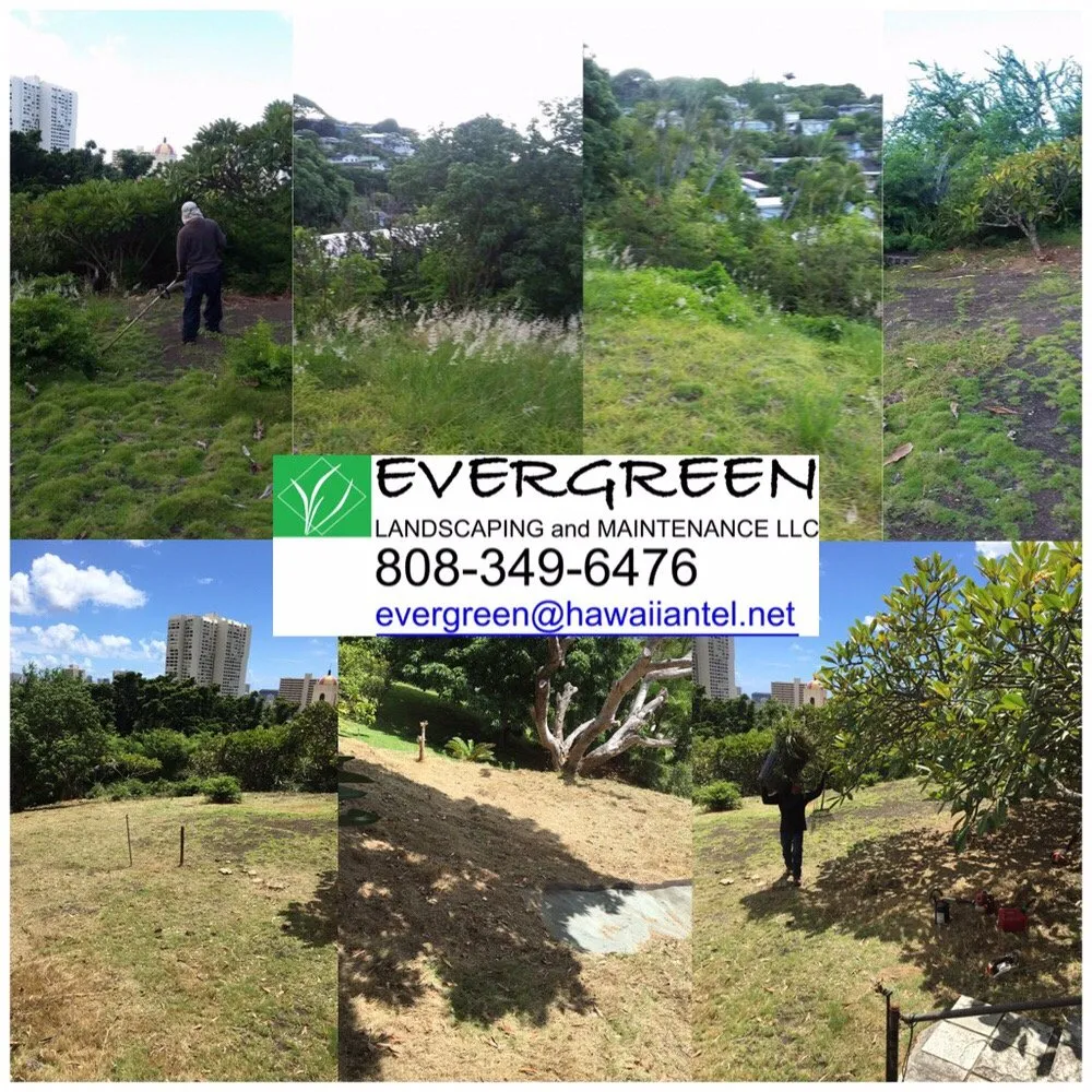 Expert lawn mowing service in Honolulu, HI - Evergreen Landscaping and Maintenance