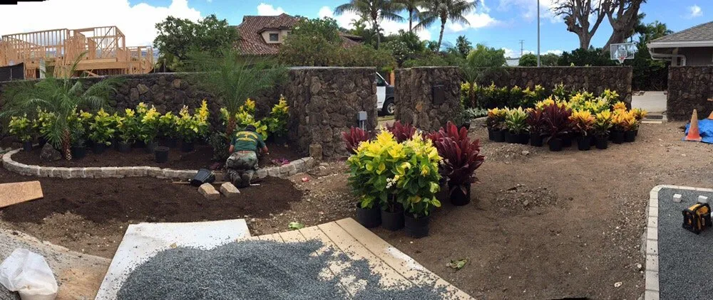 Local outdoor landscaping in Honolulu, HI by Evergreen Landscaping and Maintenance