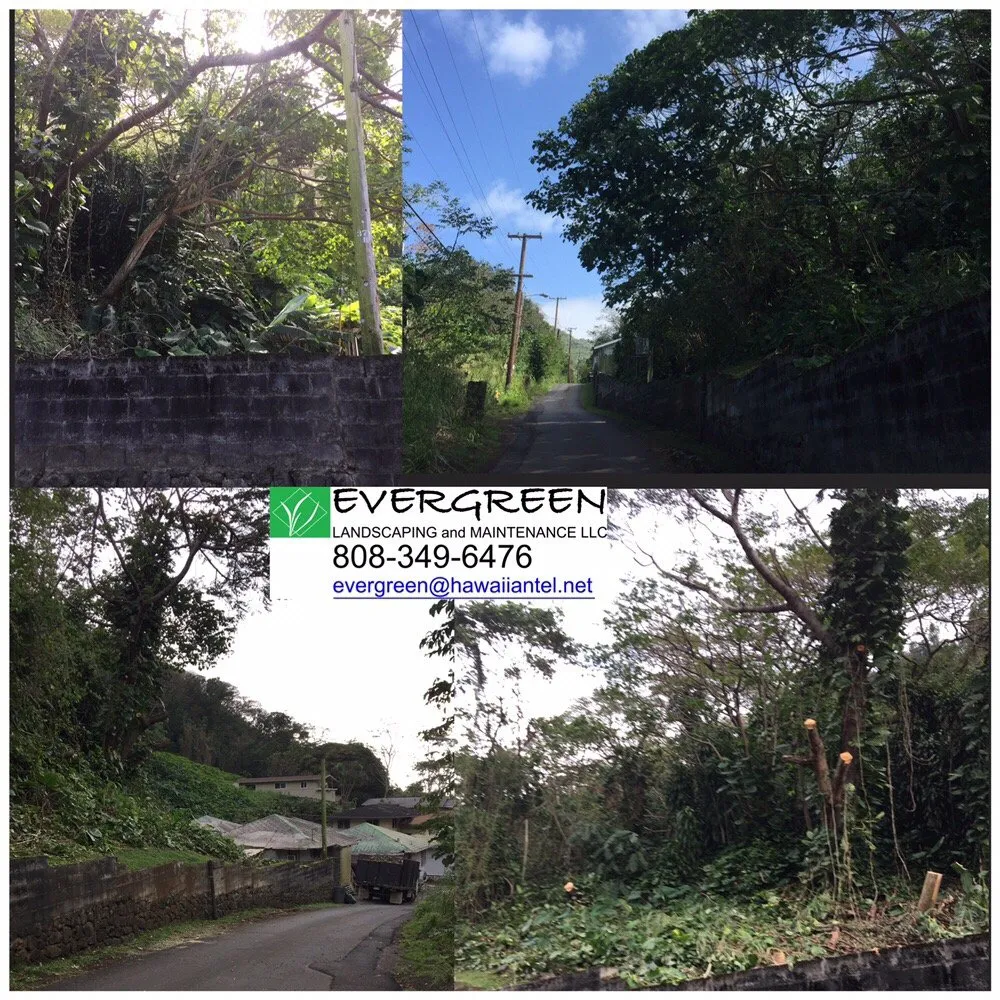 Trusted yard maintenance experts serving Honolulu, HI - Evergreen Landscaping and Maintenance