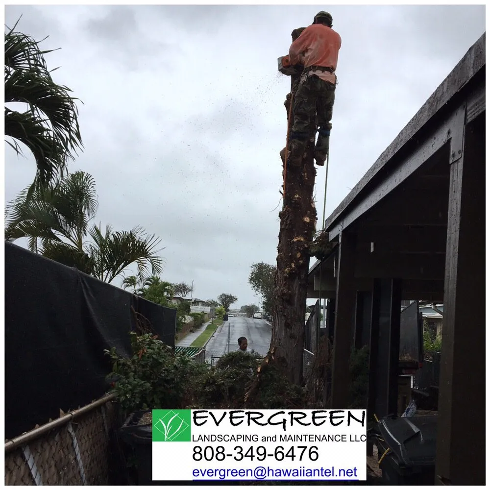Local lawn care service with custom design across Honolulu, HI - Evergreen Landscaping and Maintenance