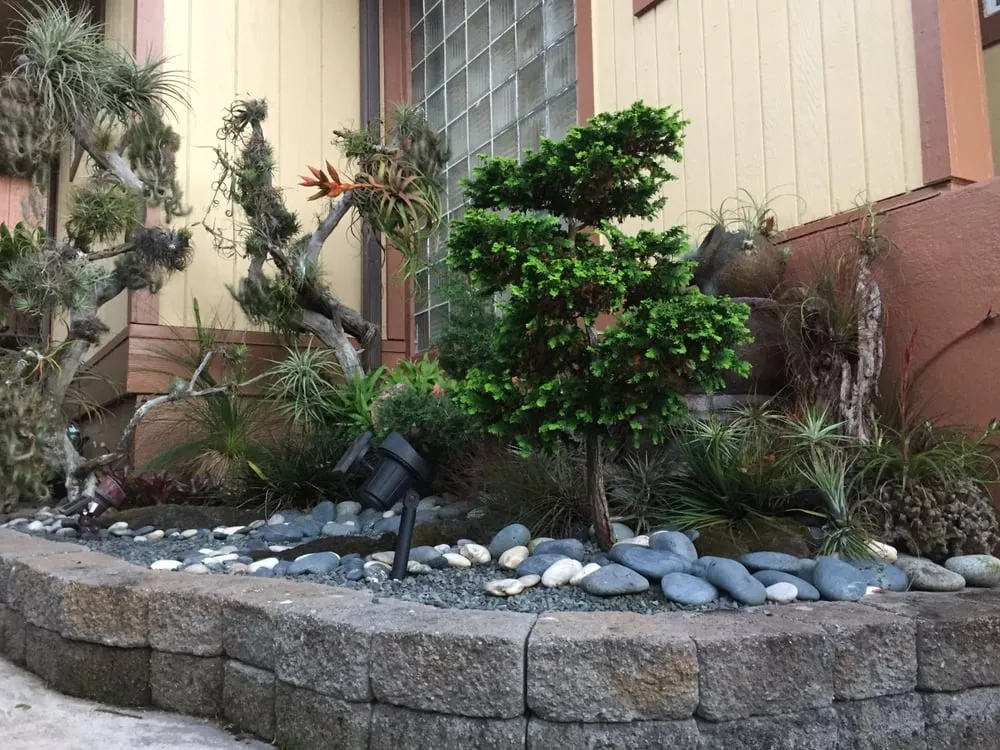Reliable landscape design in Honolulu, HI by Evergreen Landscaping and Maintenance