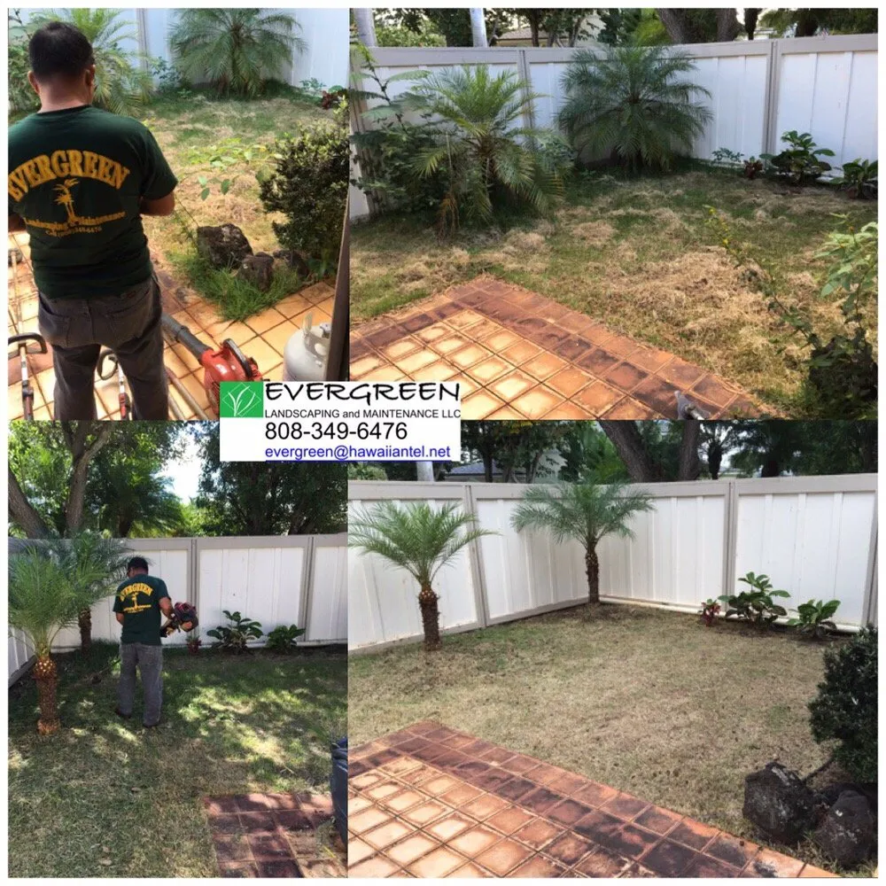Affordable yard cleanup service experts serving Honolulu, HI - Evergreen Landscaping and Maintenance