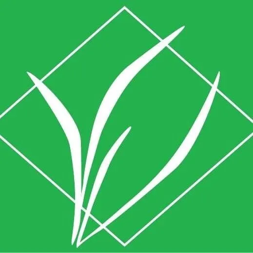 Professional landscape installation with custom design in Honolulu, HI by Evergreen Landscaping and Maintenance