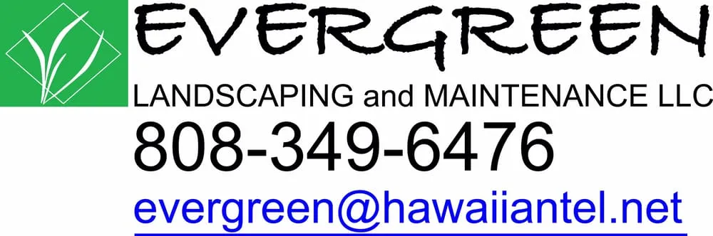 Local yard maintenance in Honolulu, HI - Evergreen Landscaping and Maintenance