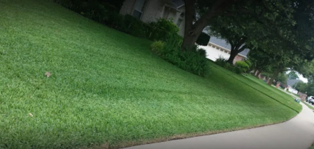 Affordable outdoor landscaping with custom design in Waco, TX by Evergreen Landscaping and Tree Service