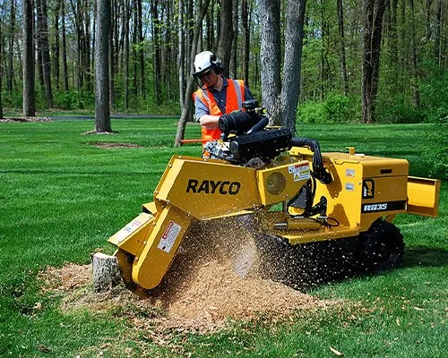 Trusted garden landscaping in East Syracuse, NY - Evergreen landscaping