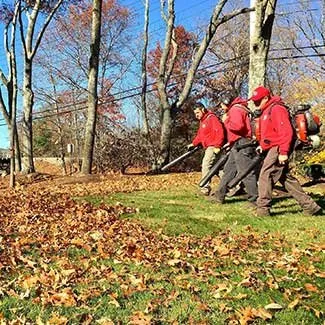 Top-rated landscape design in East Syracuse, NY - Evergreen landscaping