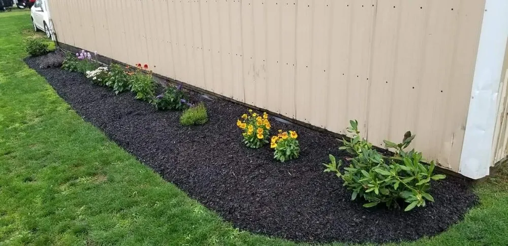 Local yard maintenance for residential properties across East Syracuse, NY - Evergreen landscaping