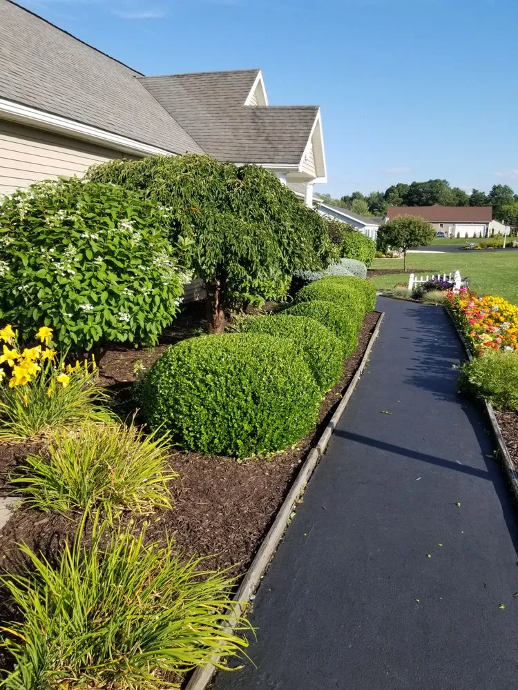 Expert yard maintenance experts serving East Syracuse, NY - Evergreen landscaping