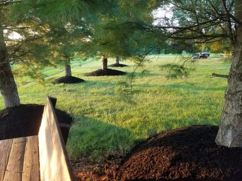 Affordable landscaping services experts serving East Syracuse, NY - Evergreen landscaping