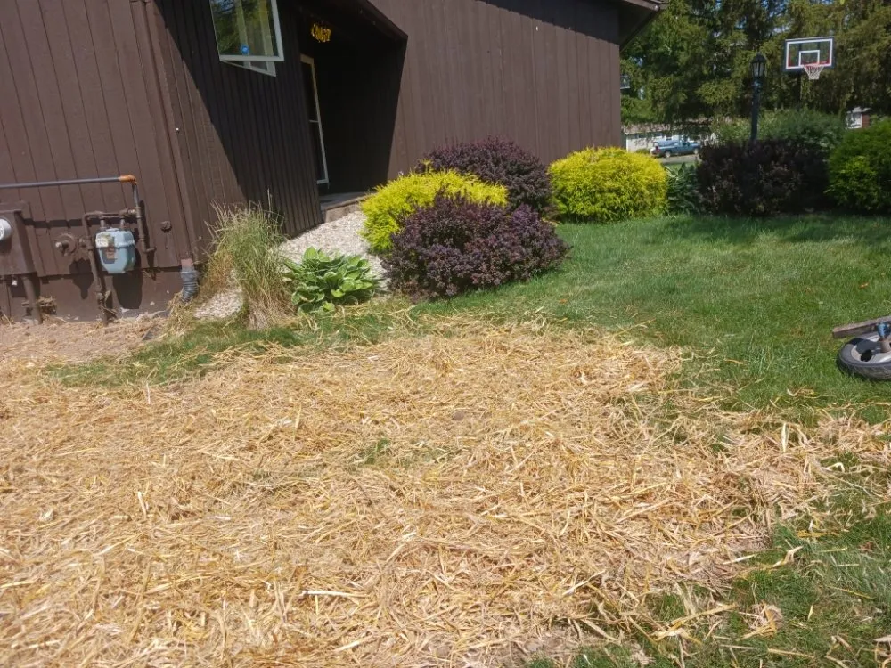 Professional lawn care service in East Syracuse, NY by Evergreen landscaping