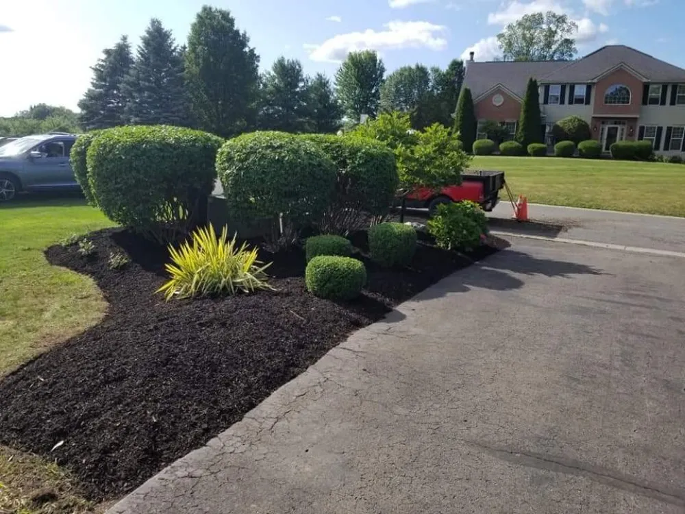 Top-rated outdoor landscaping experts serving East Syracuse, NY - Evergreen landscaping
