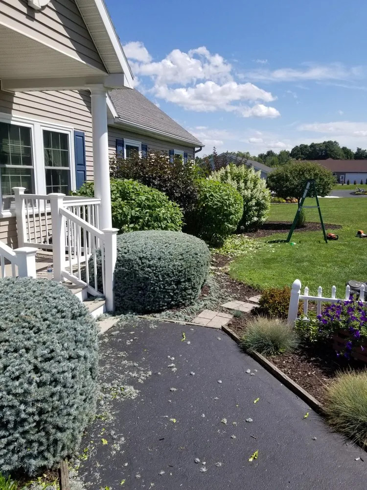 Custom landscaping services for year-round maintenance across East Syracuse, NY - Evergreen landscaping