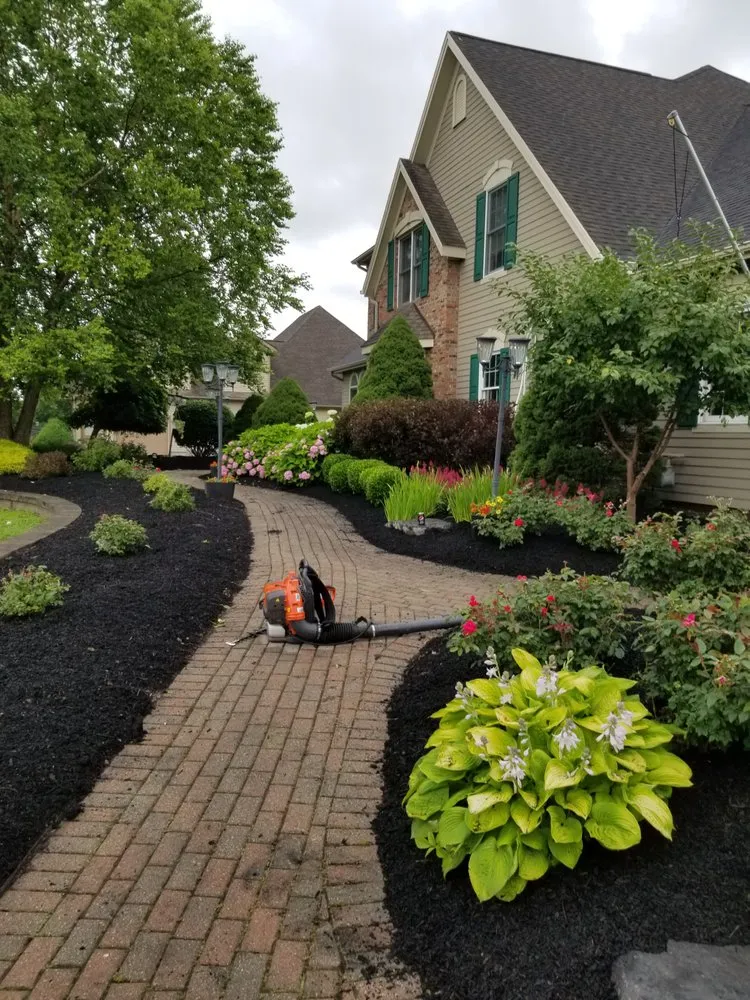 Top-rated yard cleanup service for residential properties across East Syracuse, NY - Evergreen landscaping
