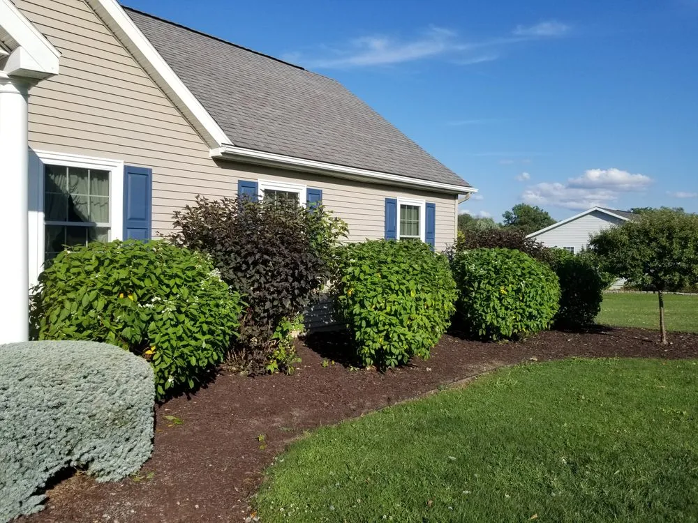 Local yard maintenance for outdoor upgrades across East Syracuse, NY - Evergreen landscaping