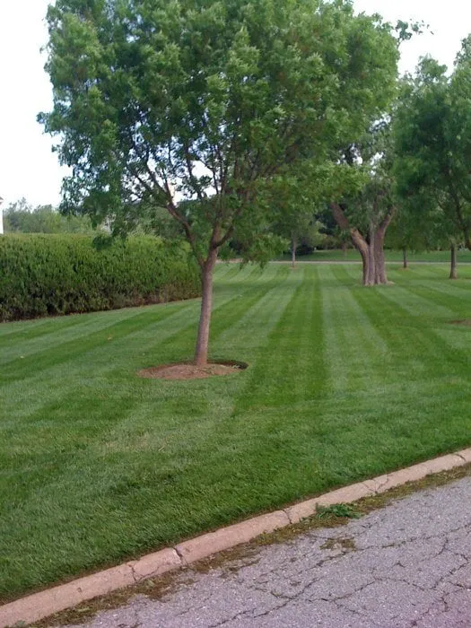 Affordable garden landscaping in Edmond, OK by Evergreen Landscaping