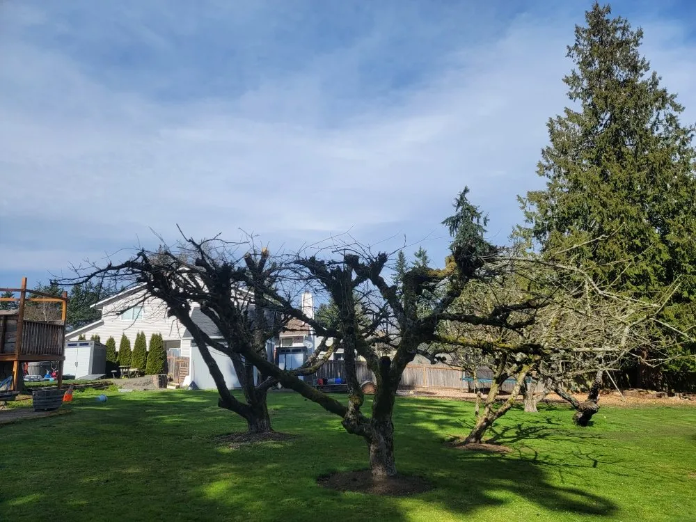 Reliable landscape installation in Granite Falls, WA by Evergreen Landscaping