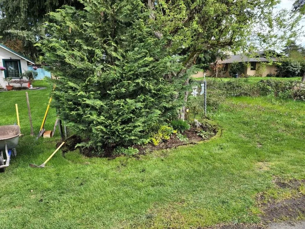 Affordable yard maintenance for residential properties in Granite Falls, WA by Evergreen Landscaping