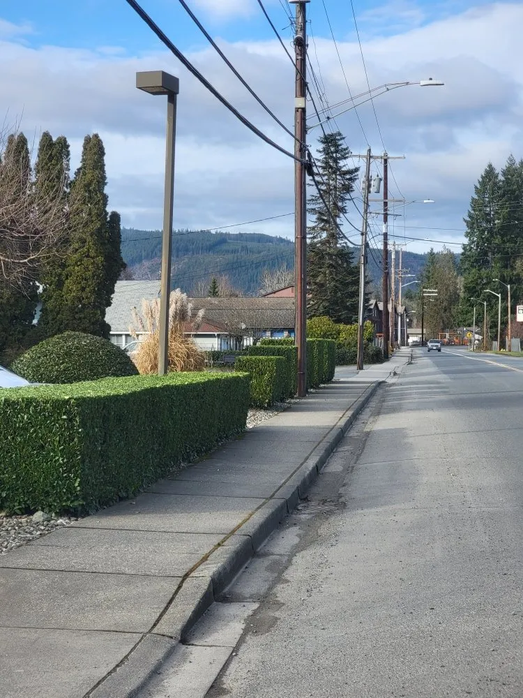 Reliable yard cleanup service for year-round maintenance across Granite Falls, WA - Evergreen Landscaping