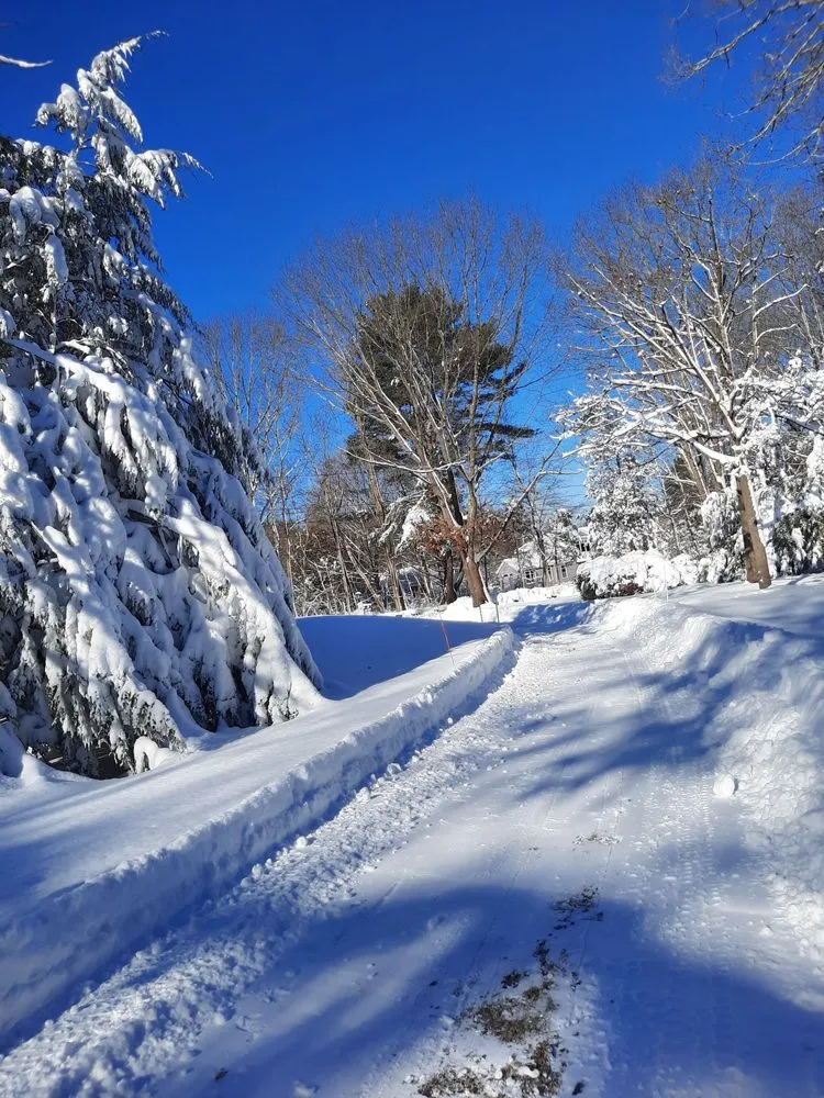 Affordable yard cleanup service for residential properties in Haverhill, MA by Evergreen Landscaping
