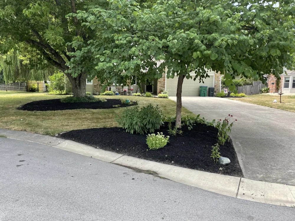 Expert lawn care service for beautiful yards in Indianapolis, IN by Evergreen Landscaping