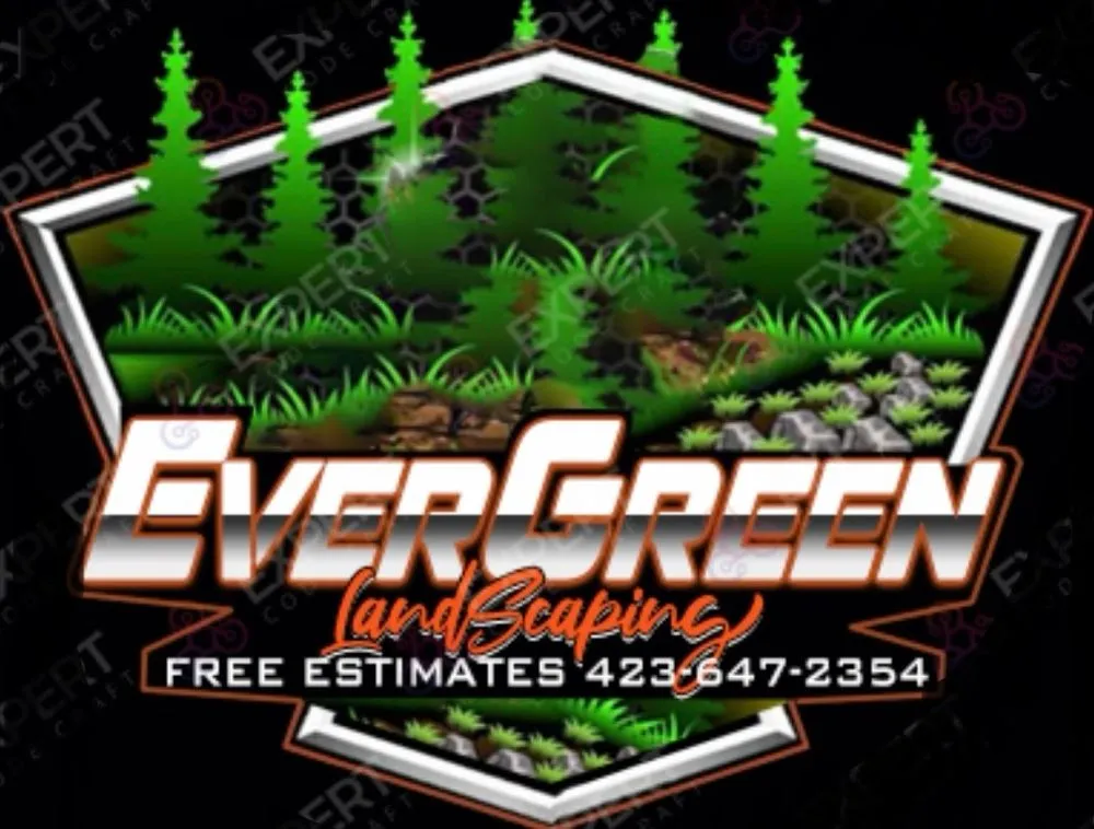 Affordable yard cleanup service in Mooresburg, TN by Evergreen Landscaping