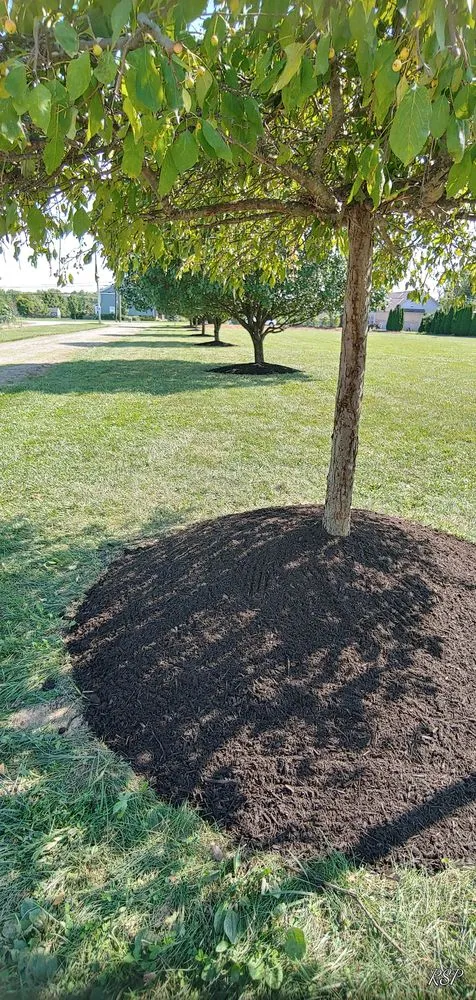 Affordable garden landscaping near you in Liberty Township, OH by Evergreen Landscaping of Cincinnati