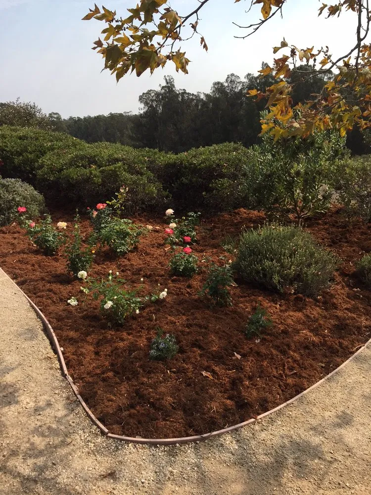 Reliable garden landscaping for homes in Pismo Beach, CA by Evergreen Landscaping