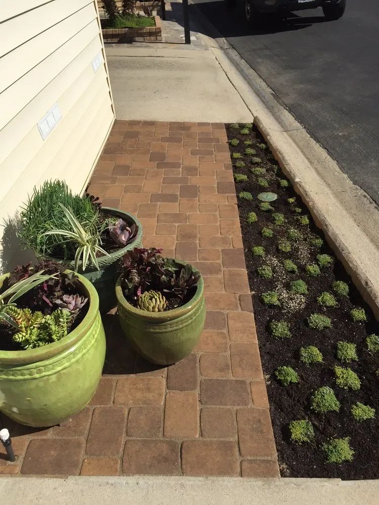 Professional garden landscaping in Pismo Beach, CA by Evergreen Landscaping
