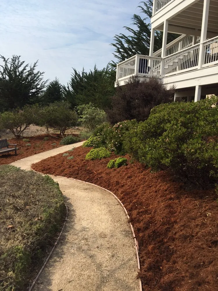 Top-rated residential landscaping in Pismo Beach, CA by Evergreen Landscaping